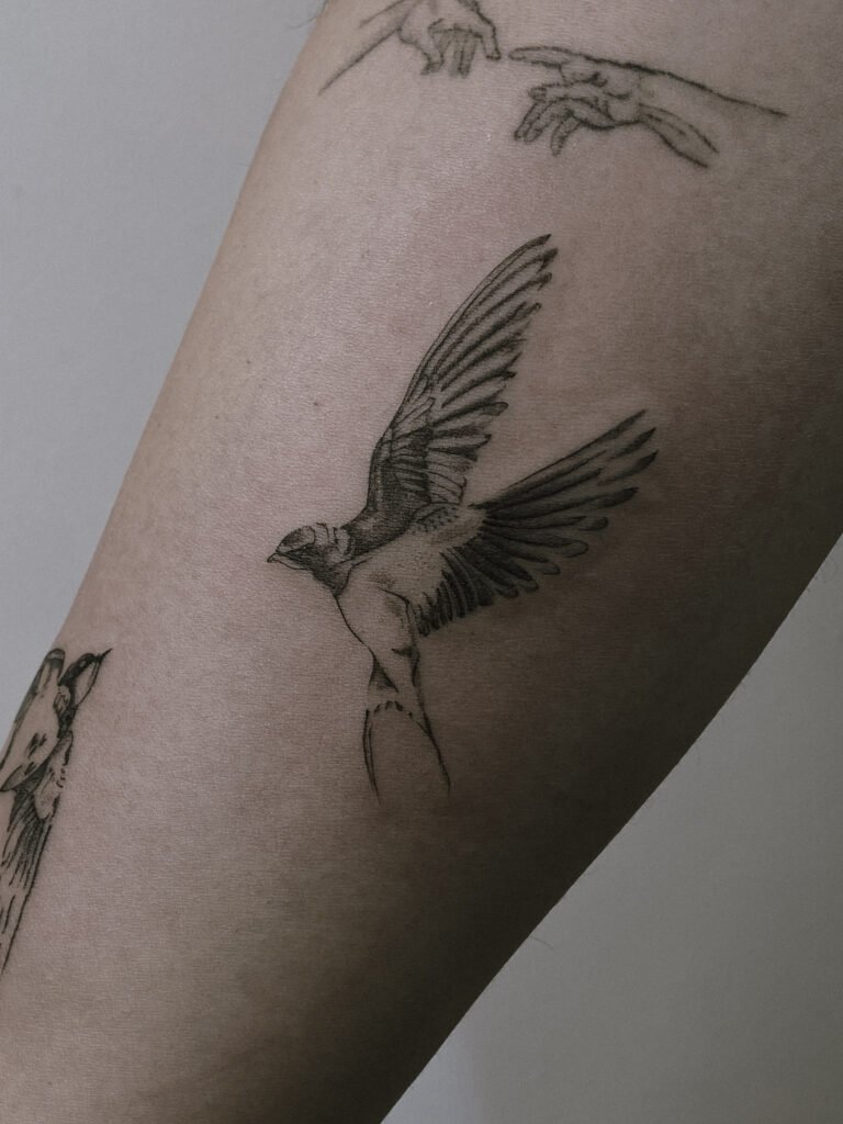 Tatuaż fine line z motywem ptaka w locie, wykonany delikatną kreską i miękkim cieniowaniem. Dynamiczna, a zarazem minimalistyczna kompozycja, podkreślająca wolność, ruch i lekkość. Tatuaż wykonany przez Yarę (@yaroslavaa.tattoo) w Fineline Tattoo Gallery dla Tattoo Kraków Kolektyw Artystów.