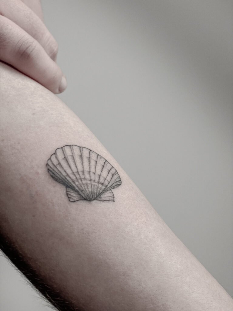 Minimalistyczny tatuaż fine line z motywem muszli, wykonany z miękkim cieniowaniem i delikatną kreską, umieszczony na przedramieniu. Subtelny, ponadczasowy projekt inspirowany morzem i naturalnymi formami, skoncentrowany na fakturze i równowadze. Tatuaż wykonany przez Yarę (@yaroslavaa.tattoo) w Fineline Tattoo Gallery dla Tattoo Kraków Kolektyw Artystów.
